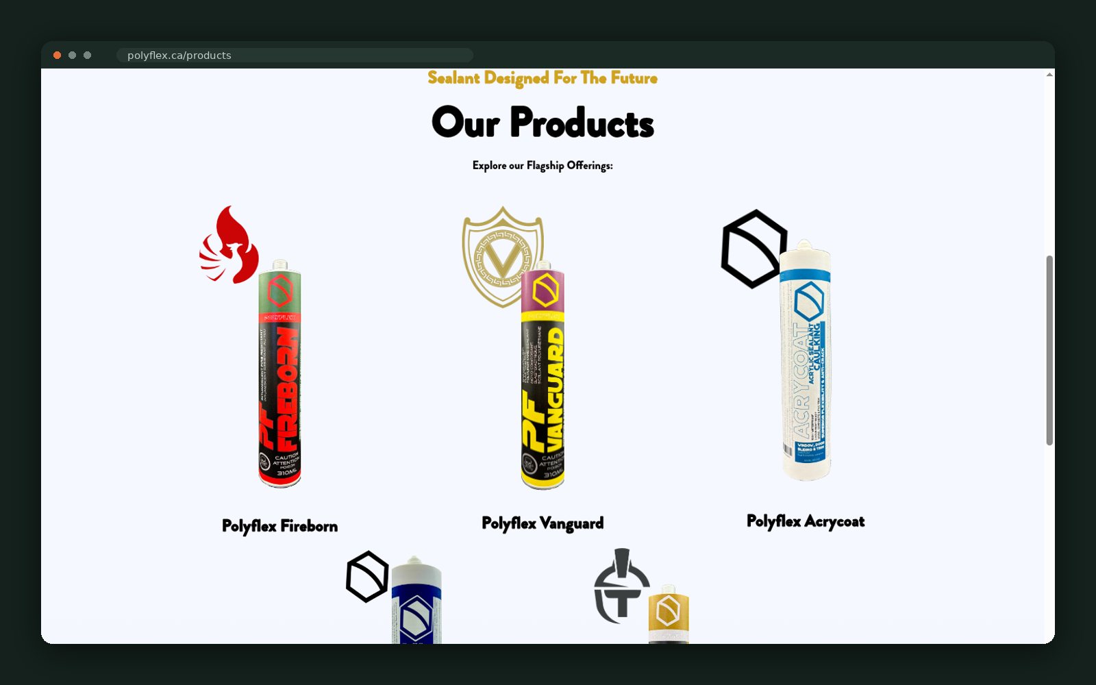 Polyflex website — screen 3
