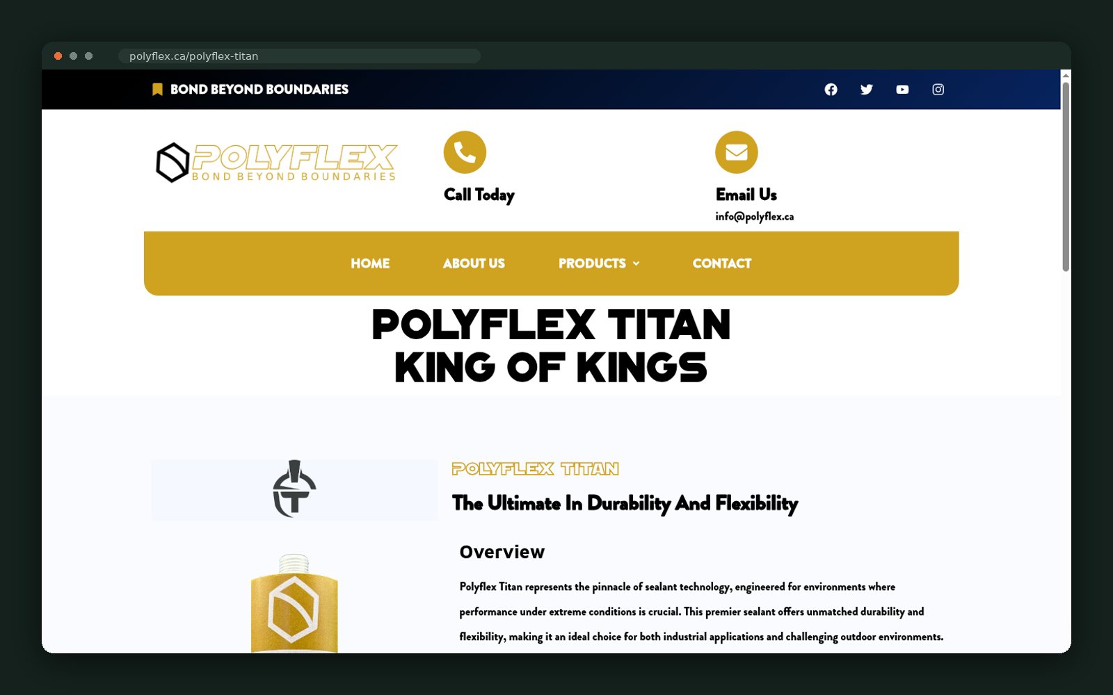 Polyflex website — screen 2