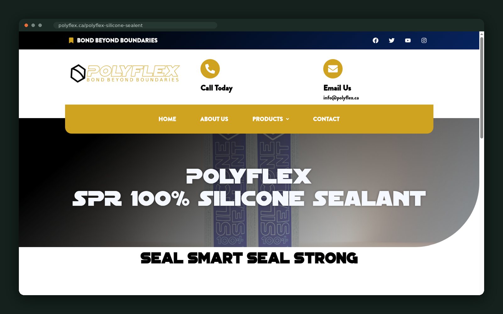 SPR 100% silicone sealant page header
