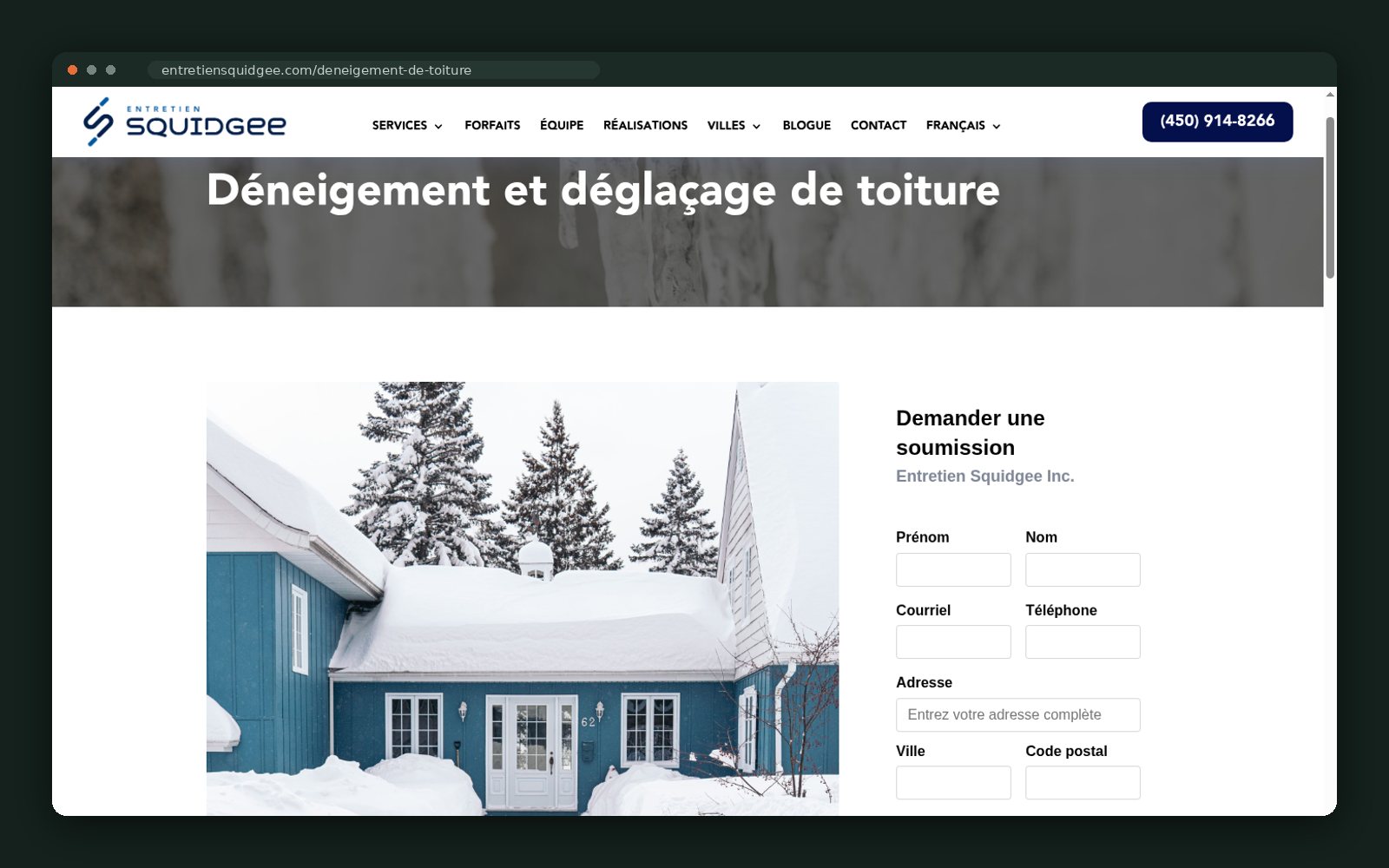 Roof snow and ice removal, with the winter risk stated plainly