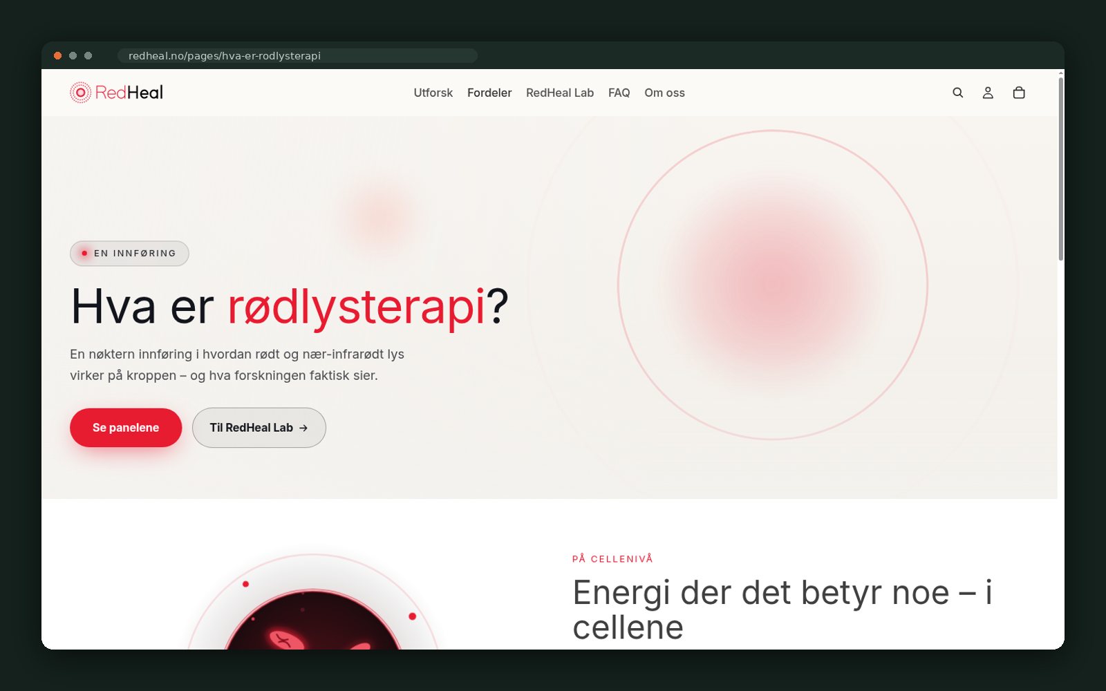 RedHeal website — screen 4