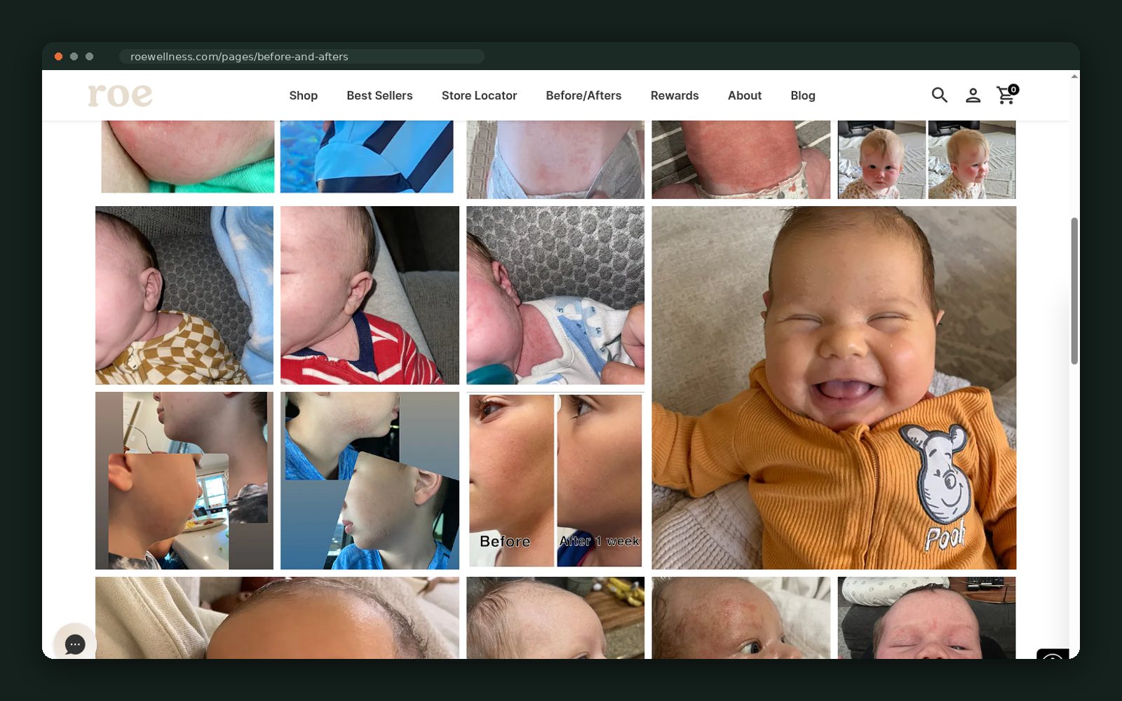 roe Wellness website — screen 2