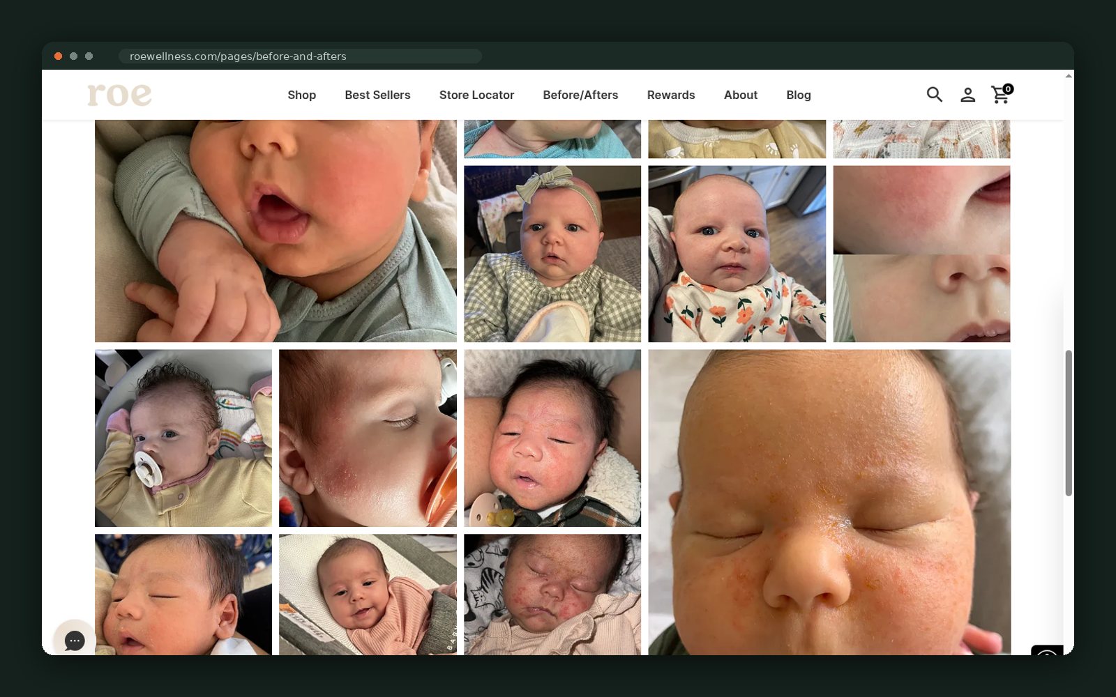 The proof wall continues — dozens of families