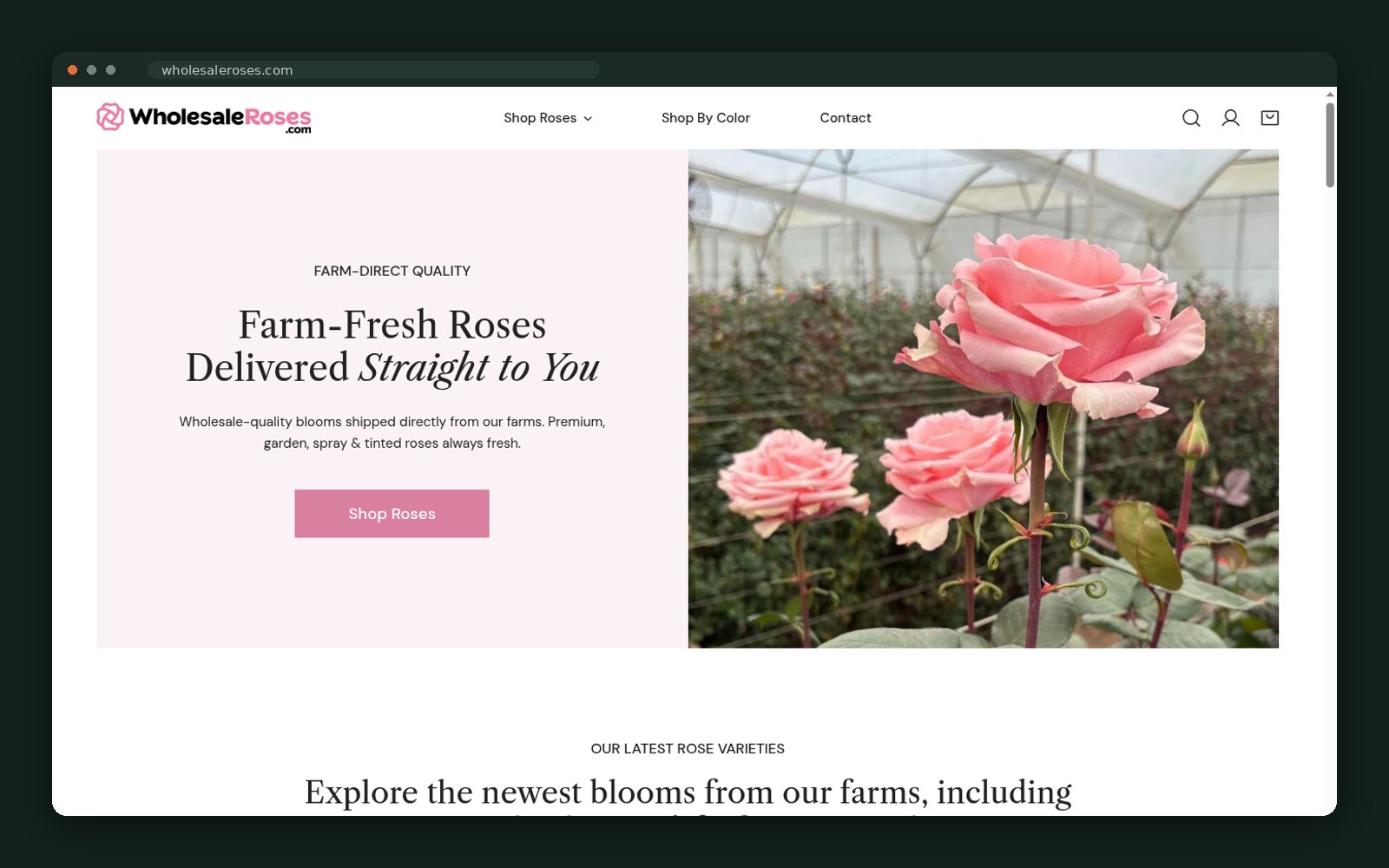 Homepage hero — farm-fresh roses delivered direct