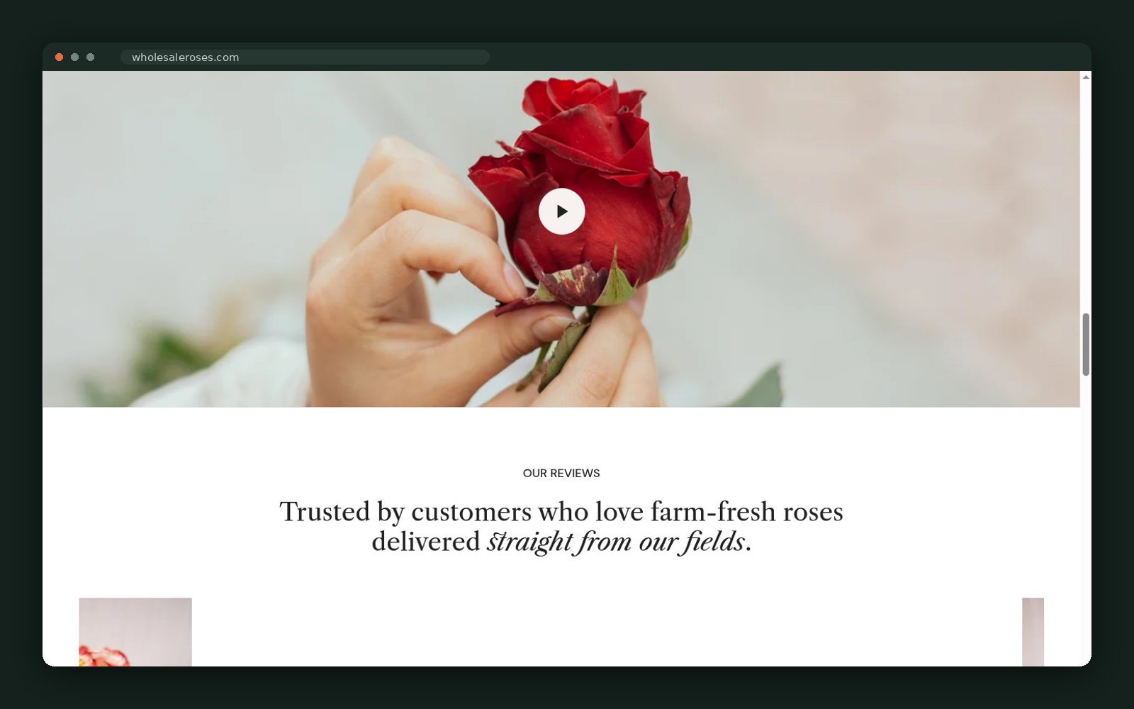 Customer review band and collection storytelling