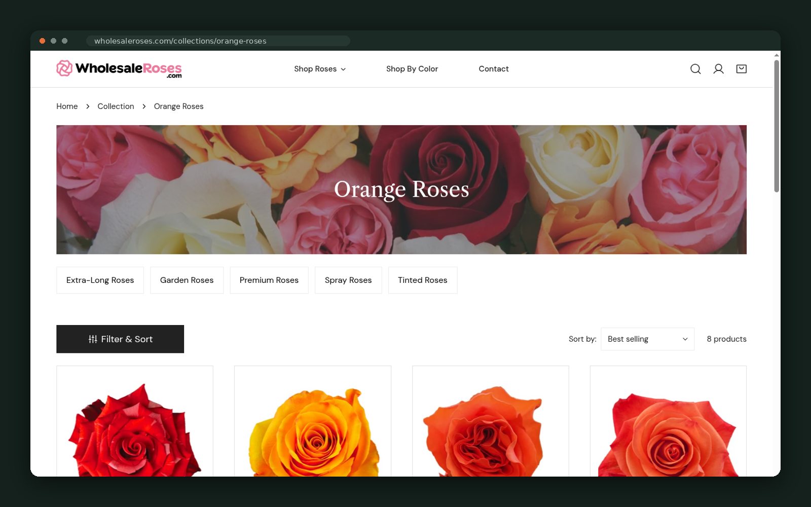 Orange roses collection page
