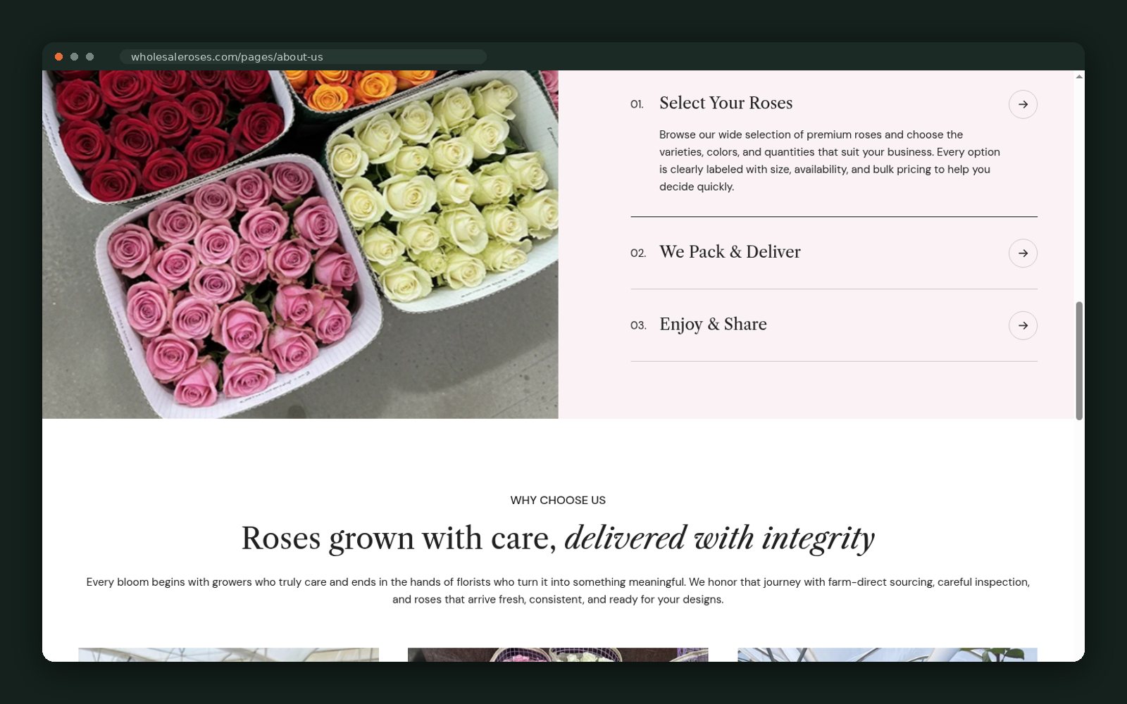 WholesaleRoses.com website — screen 5