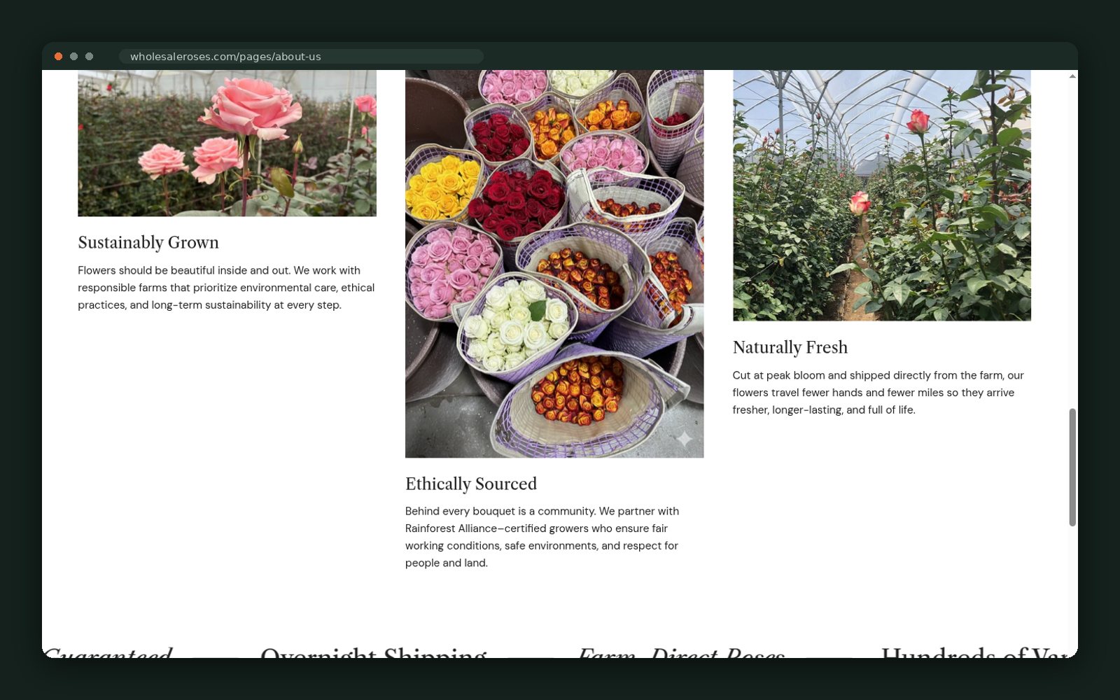 Sustainably grown, ethically sourced, naturally fresh