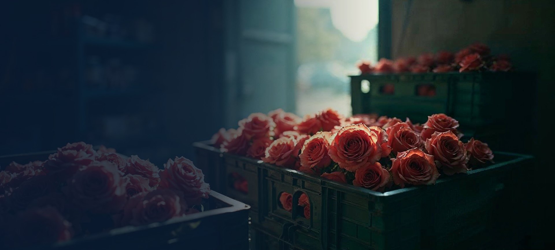 Art-directed wholesale flower packing scene representing WholesaleRoses.com's industry