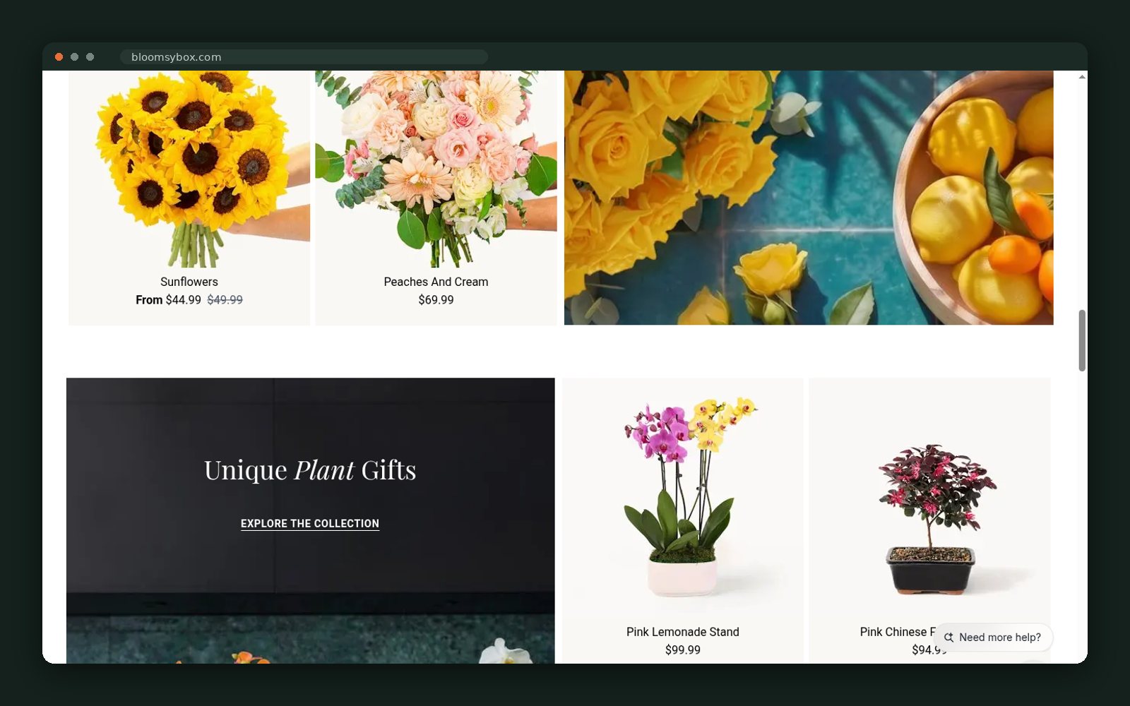 Plant gifts and seasonal collections