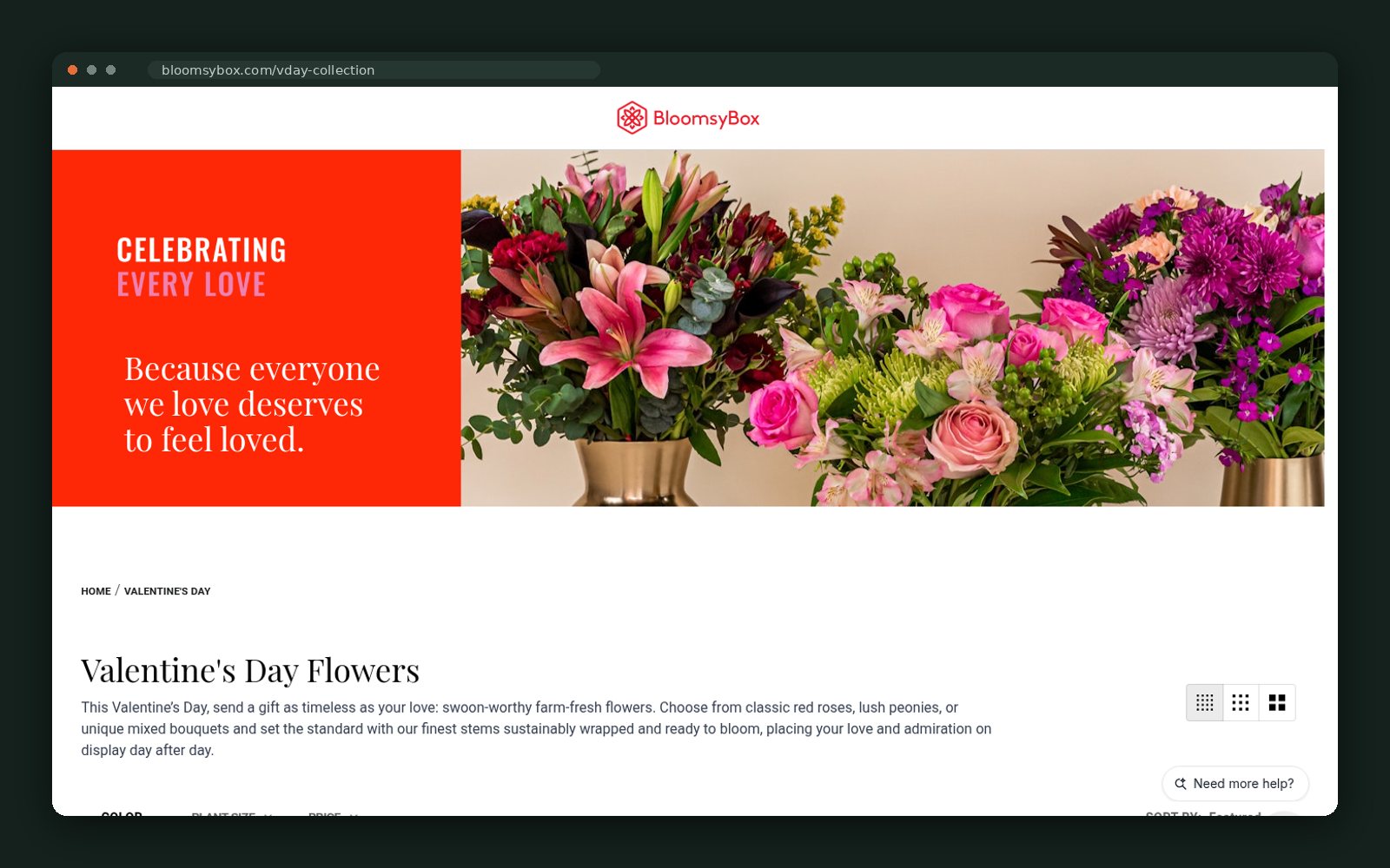 BloomsyBox website — screen 5