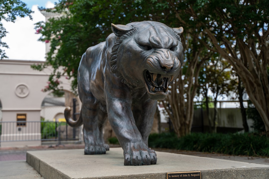 Baton Rouge city photo — Web Tonic