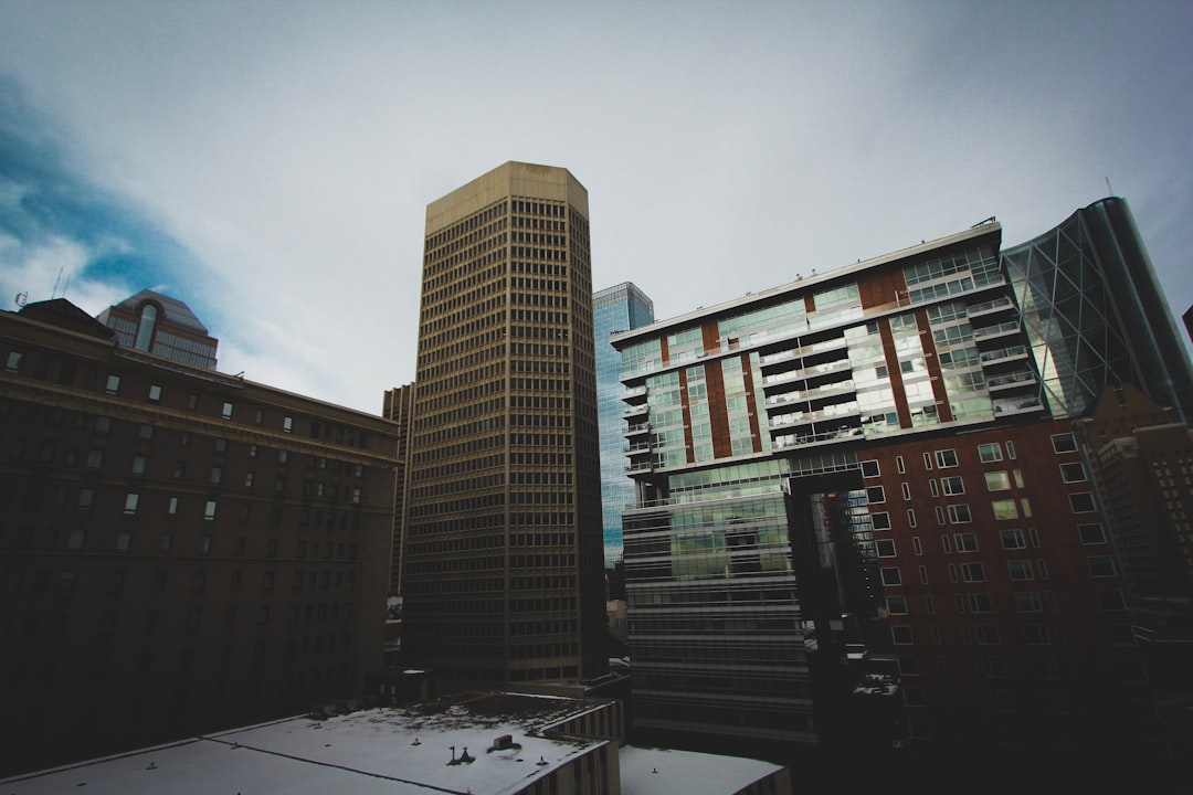Calgary city photo — Web Tonic