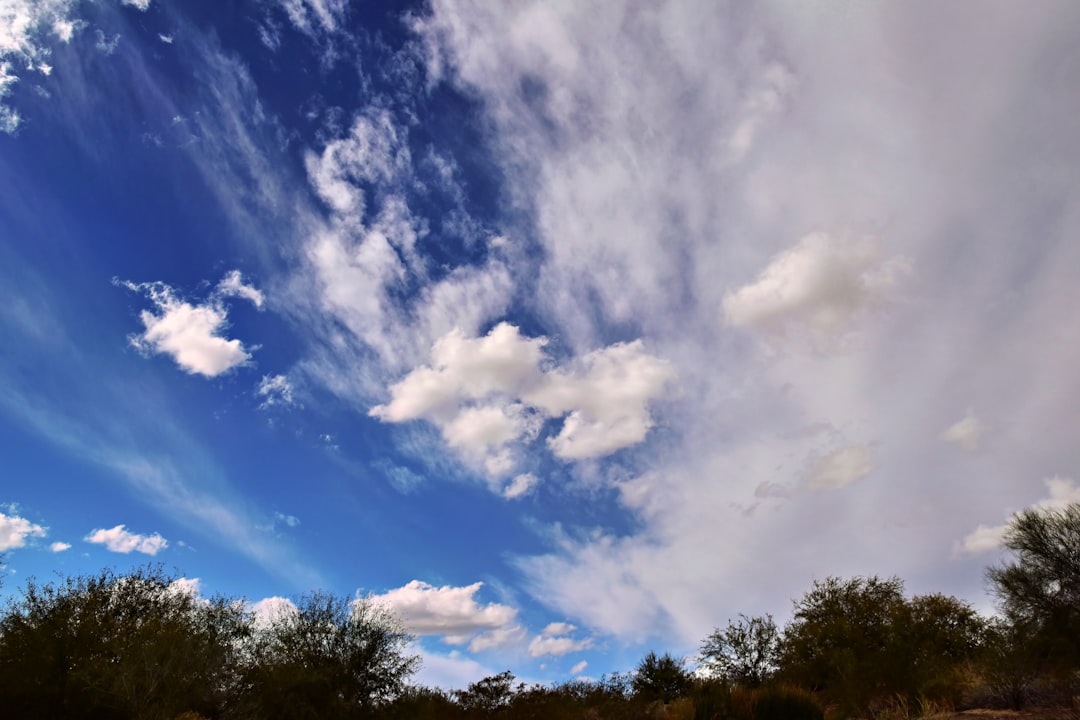 Chandler city photo — Web Tonic