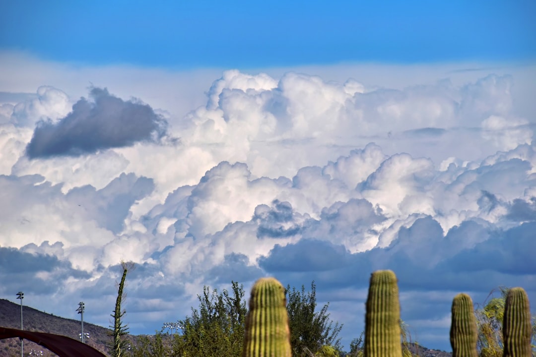 Chandler city photo — Web Tonic