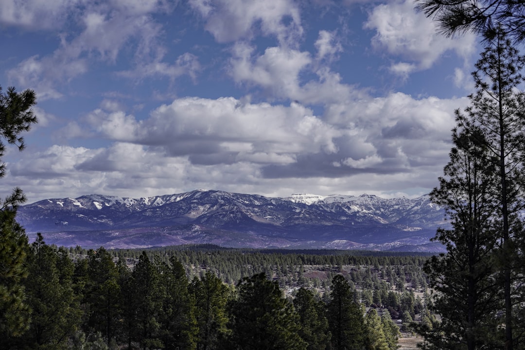 colorado-springs city photo — Web Tonic