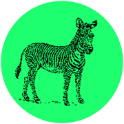Design Agency Logo