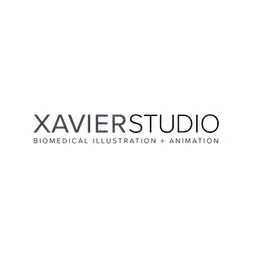 Xavier Studio Logo