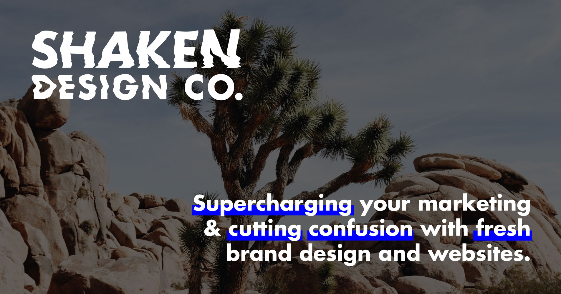 Shaken Design Co Logo