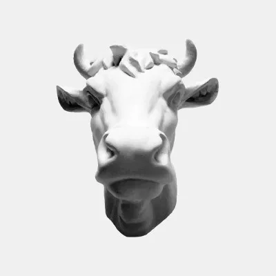 Regular Animal Logo