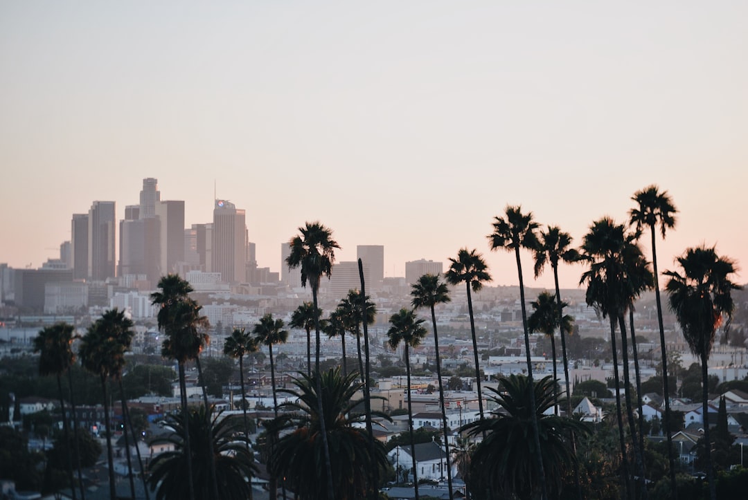 Los Angeles city photo — Web Tonic