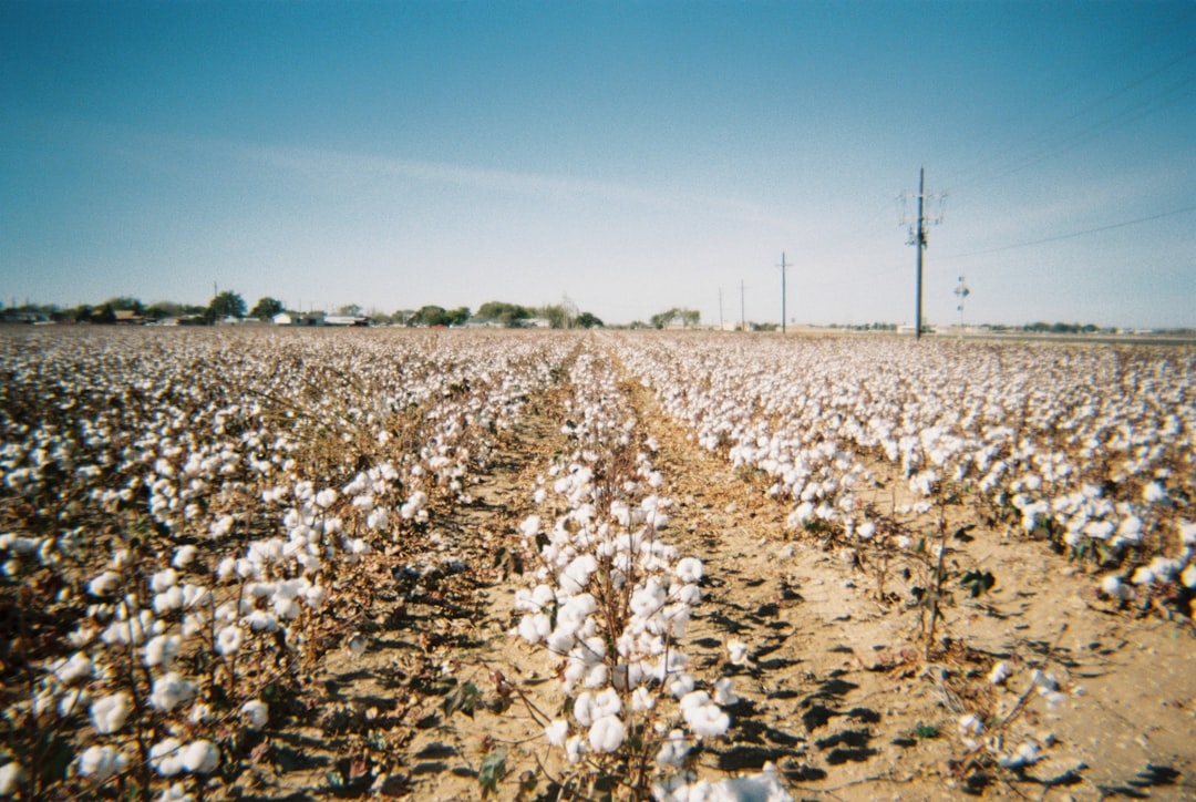 Lubbock city photo — Web Tonic