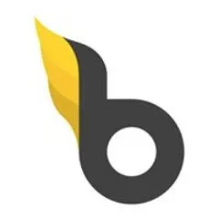 Bopgun Logo