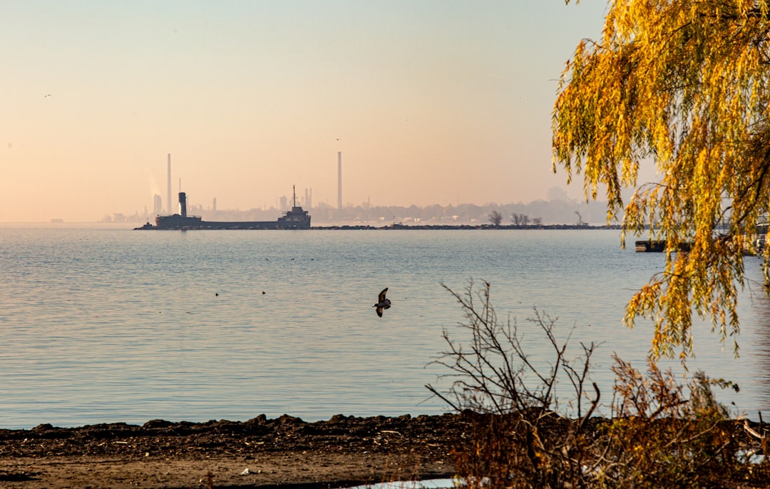 Mississauga city photo — Web Tonic
