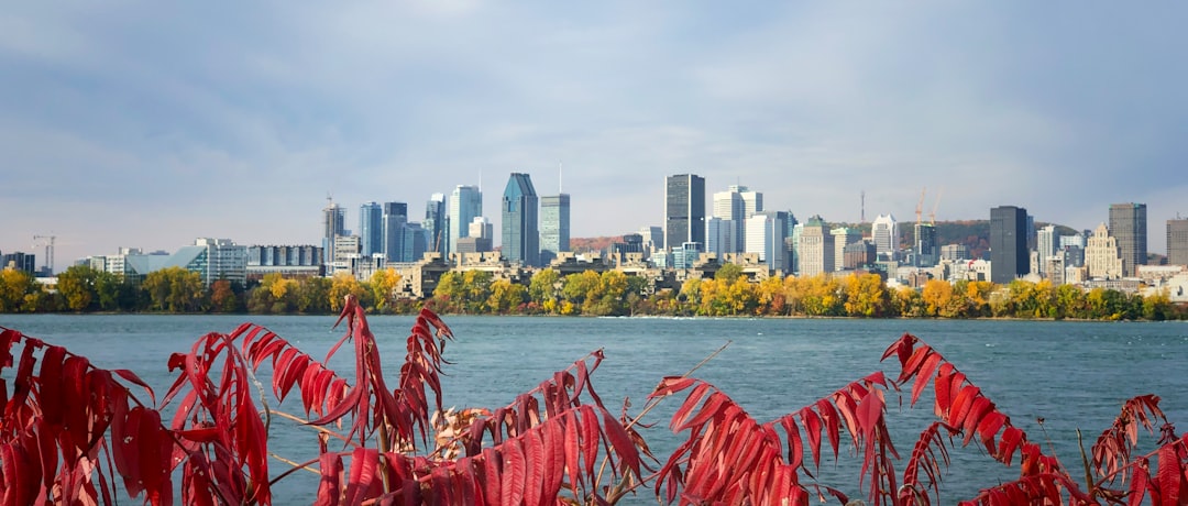 Montreal city photo — Web Tonic
