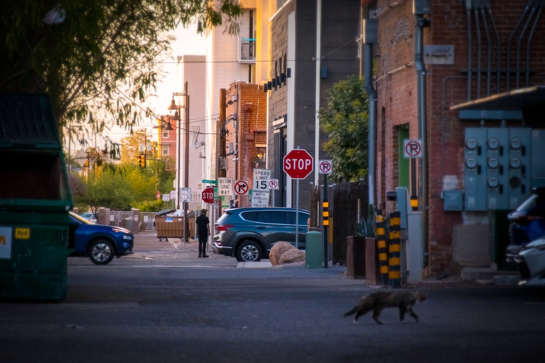 Tucson city photo — Web Tonic