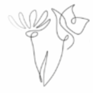 Two Flower Productions Logo