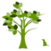 Branch Out Programs Logo