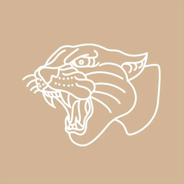 Panther City Media Logo