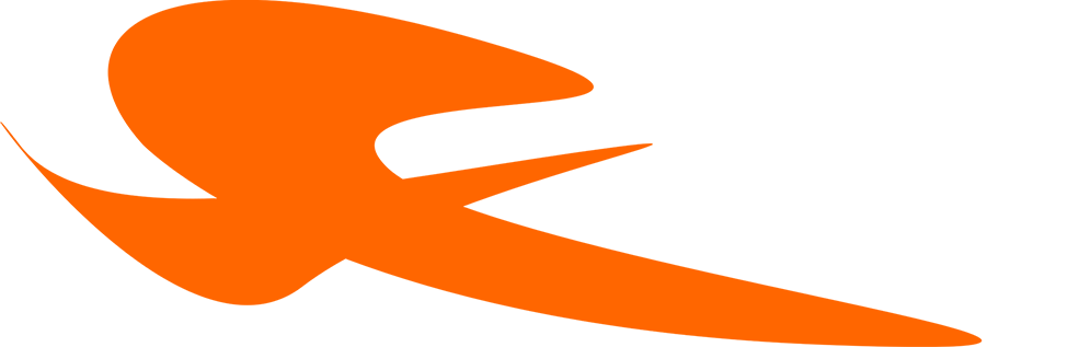 Flxspace Logo