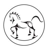 Rocking Horse Films Logo