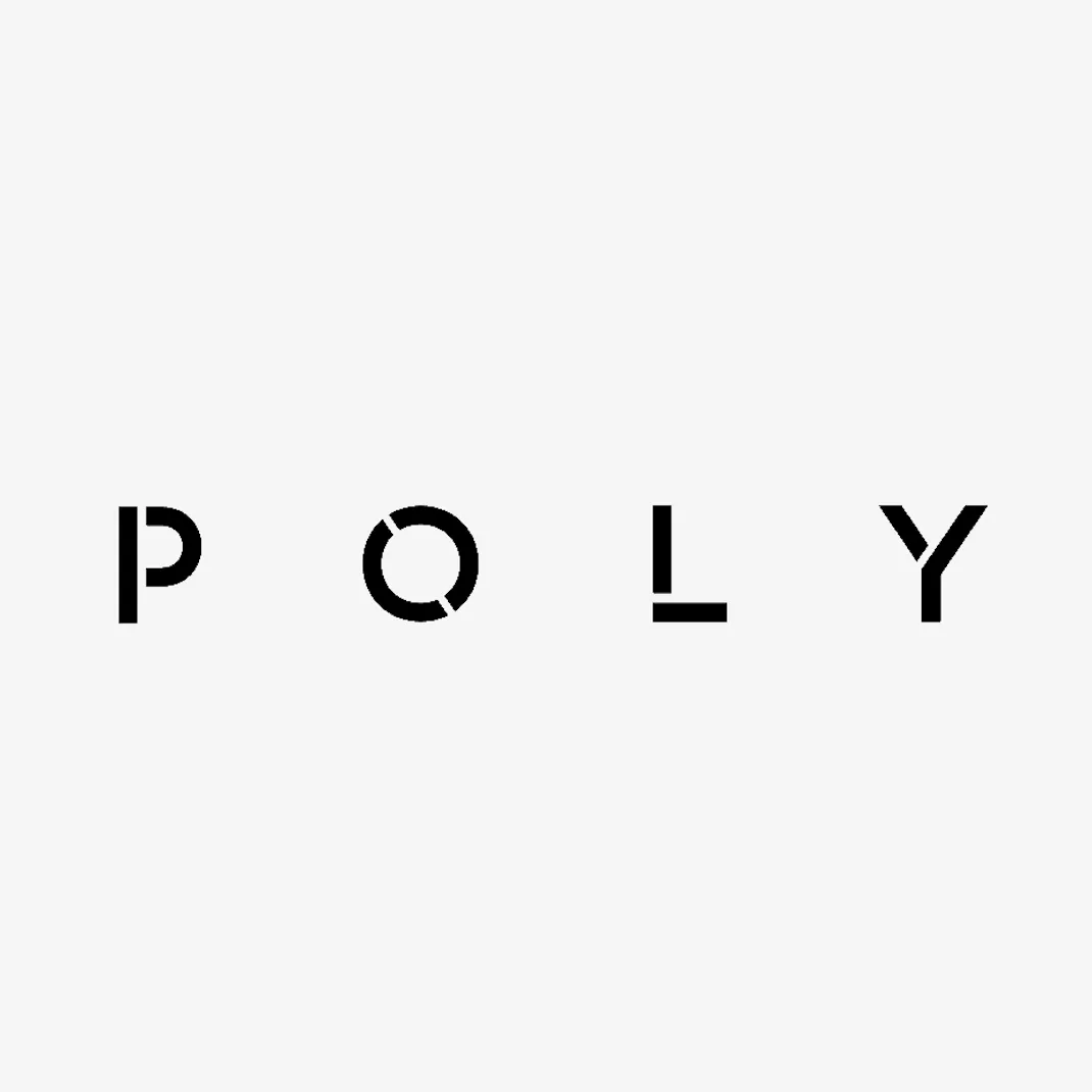 Poly Studios Logo