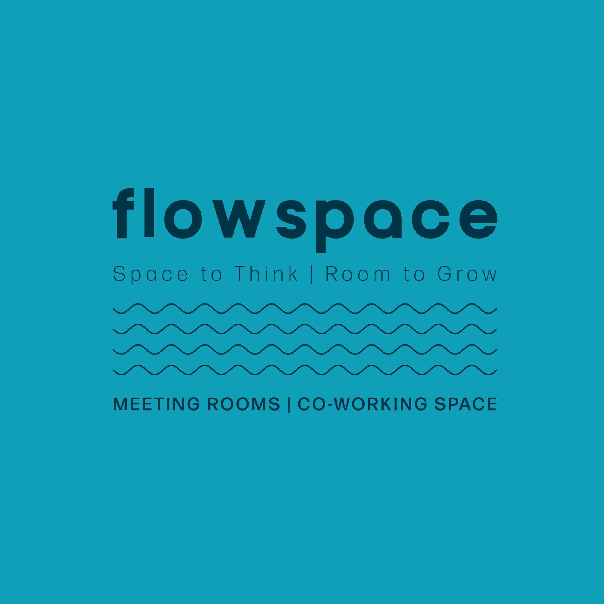 Flow Space Logo