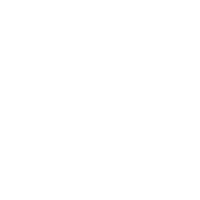 Studio Sismique Logo