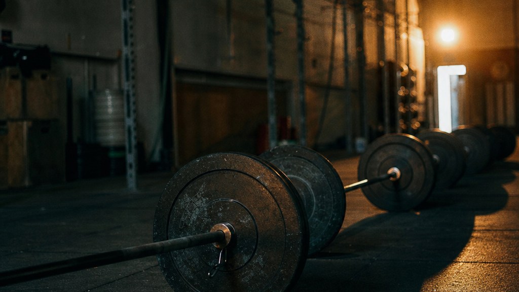 Loaded barbells and scuffed rubber plates on an empty gym floor at dawn, long shadows across the matting