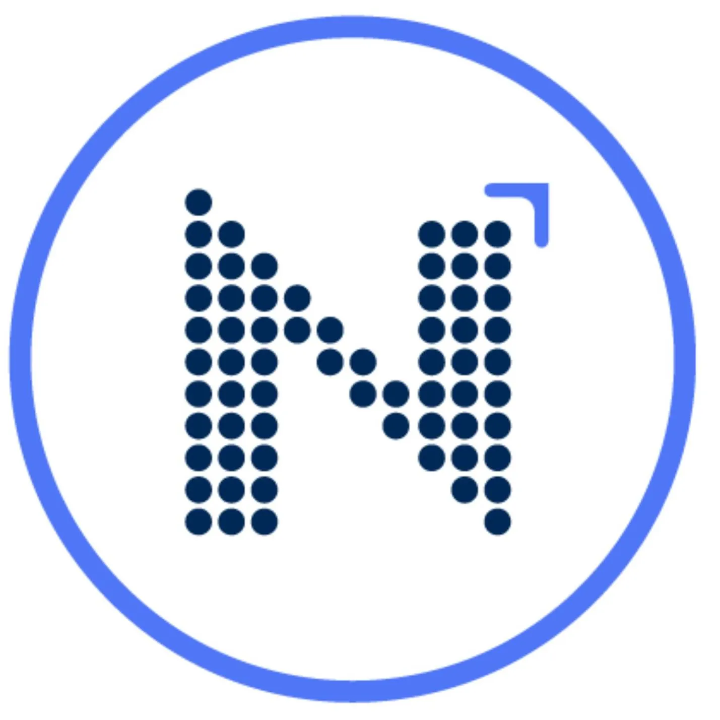 Nash Performance Marketing Logo