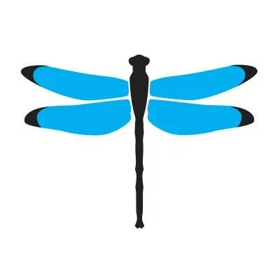 Dragonfly Digital Marketing Logo