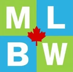 My Little Big Web Logo