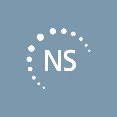 Nelson Schmidt Logo