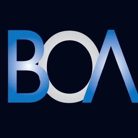 Blue Orange Asia Logo