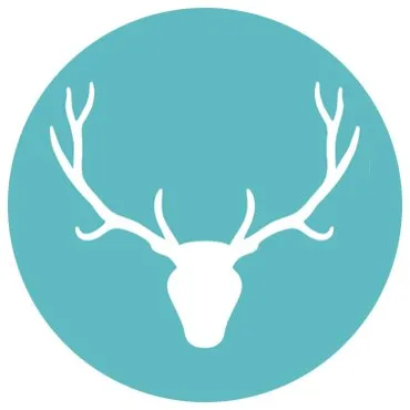 Web Antler Logo