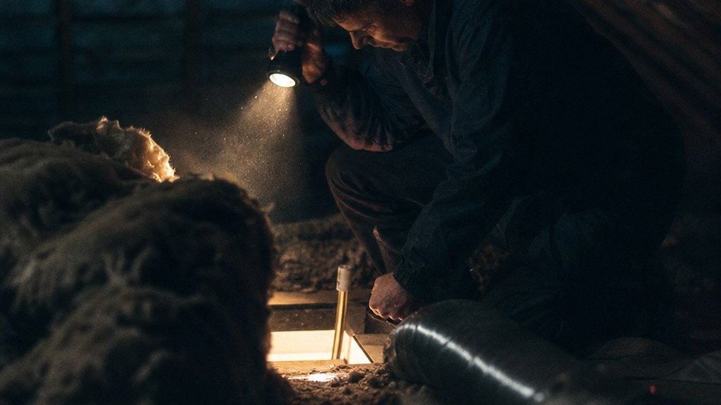 Technician kneeling in an attic hatch with a torch beam cutting the dust