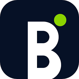 Blink Digital Consulting Logo