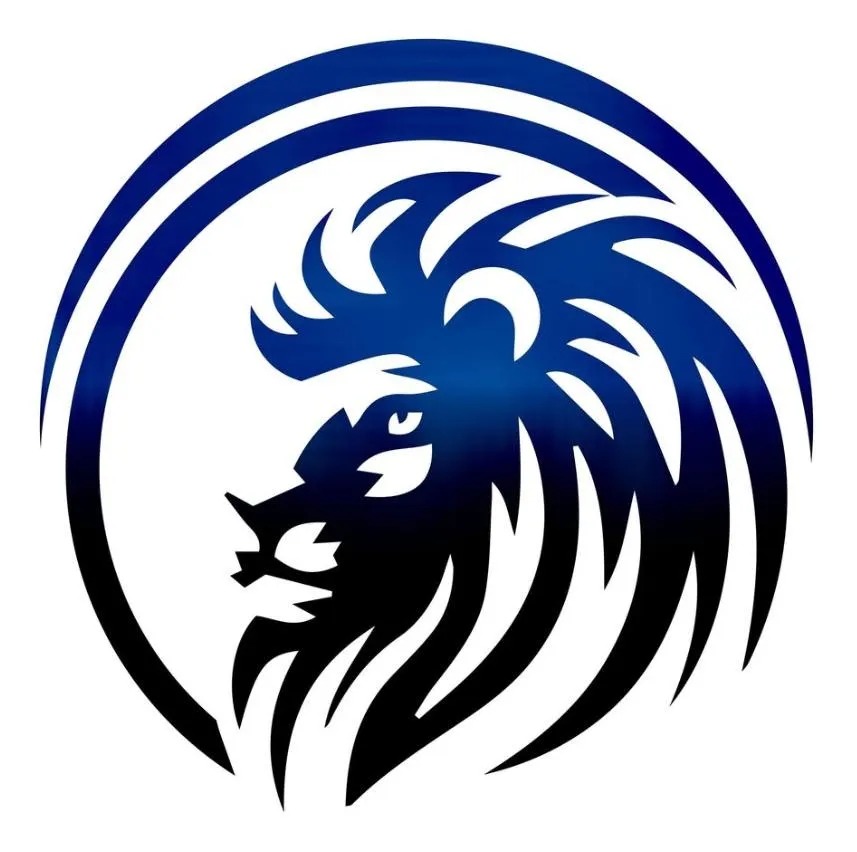 Digital Kings Networking Inc. Logo