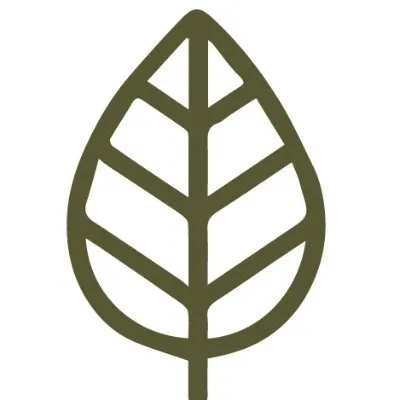 The AD Leaf Marketing Firm Studio Las Vegas Logo