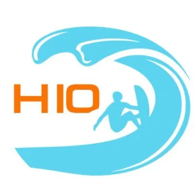 Hang 10 Digital Logo